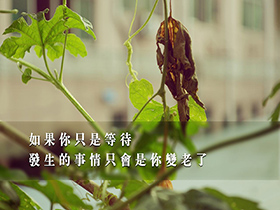 担当价值尺度的货币的特点是（）